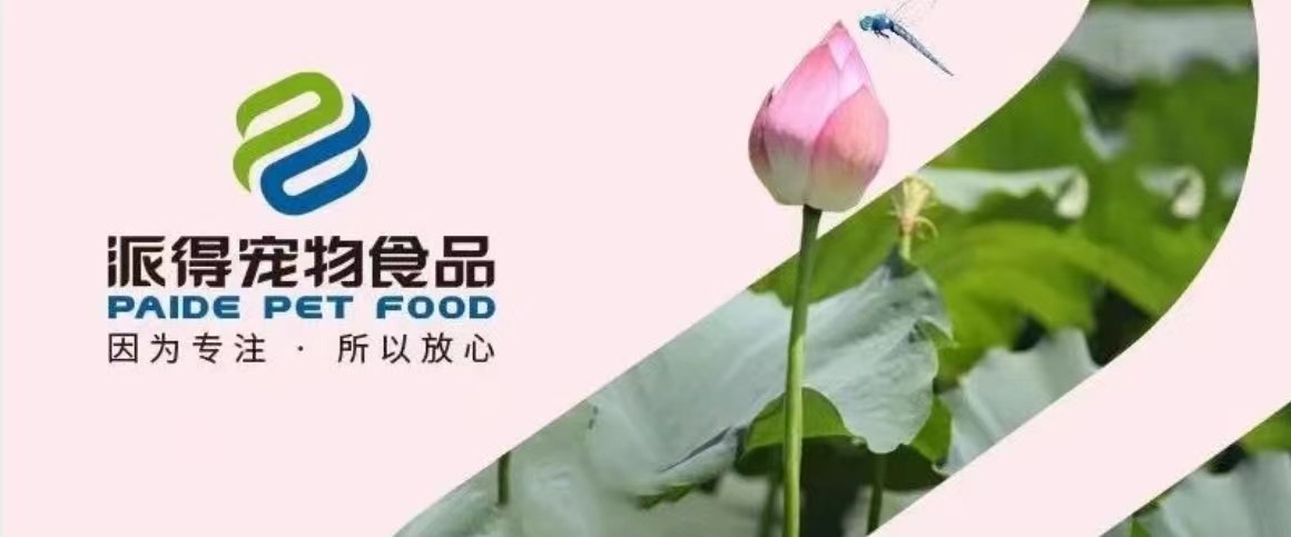 8868体育官网宠物